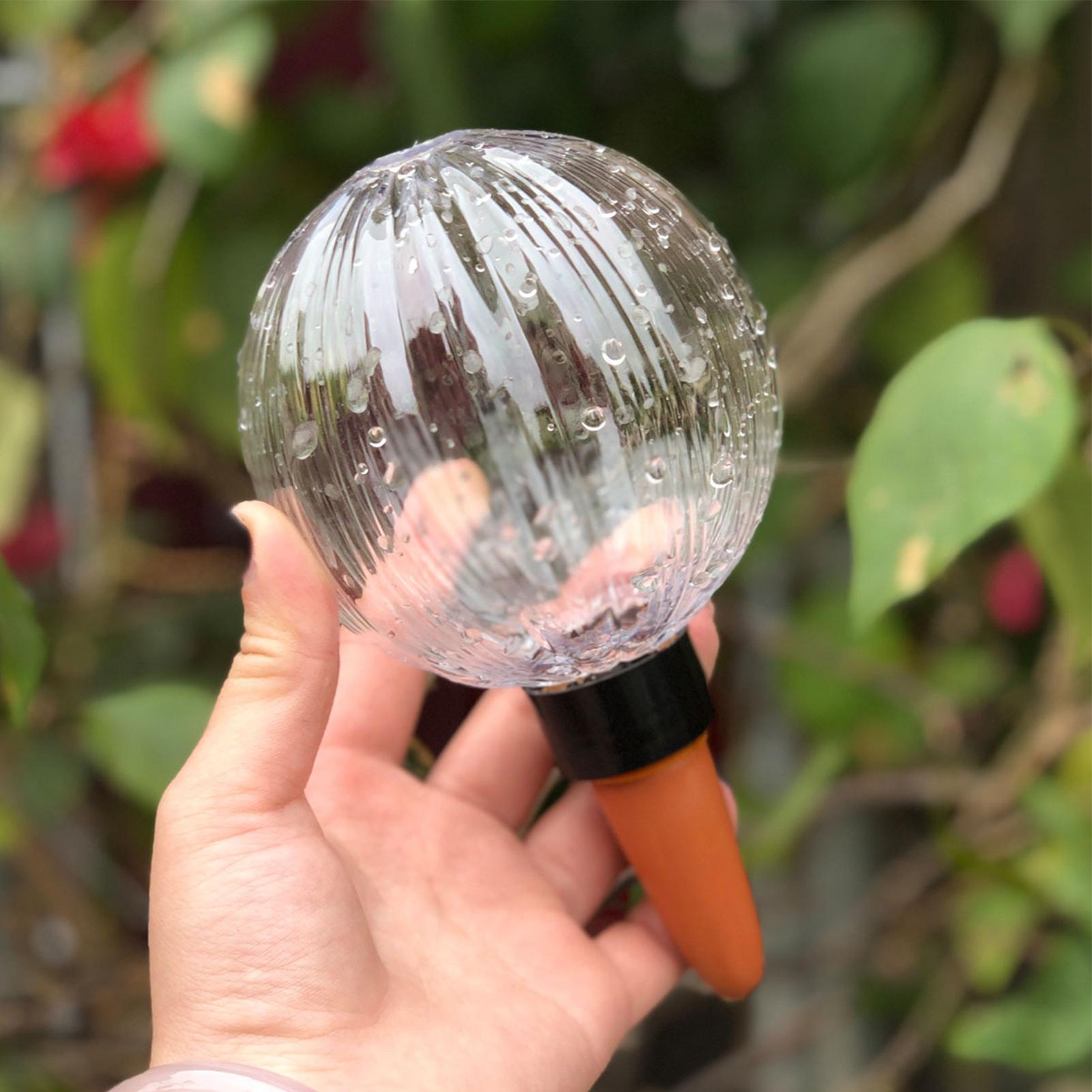 자가 급수 플랜터 인서트 500ml 대형 자동 물 공급 - Self Watering Insert 리뷰 및 가격