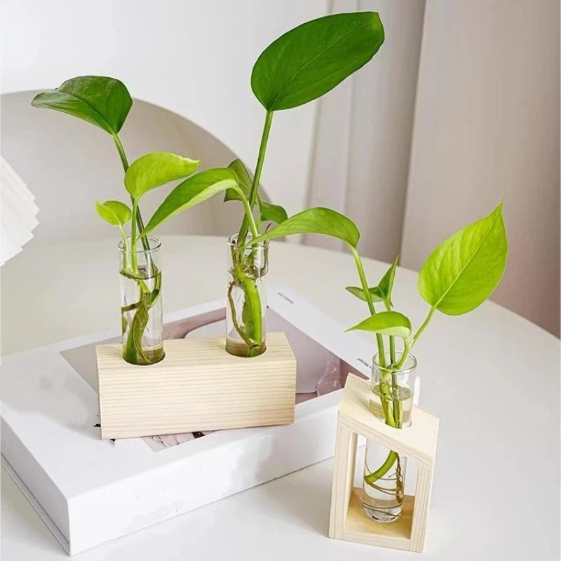 테스트 튜브 유리 화병 식물 번식 스테이션 수경 재배  - Propagation Station Vase 리뷰 및 가격